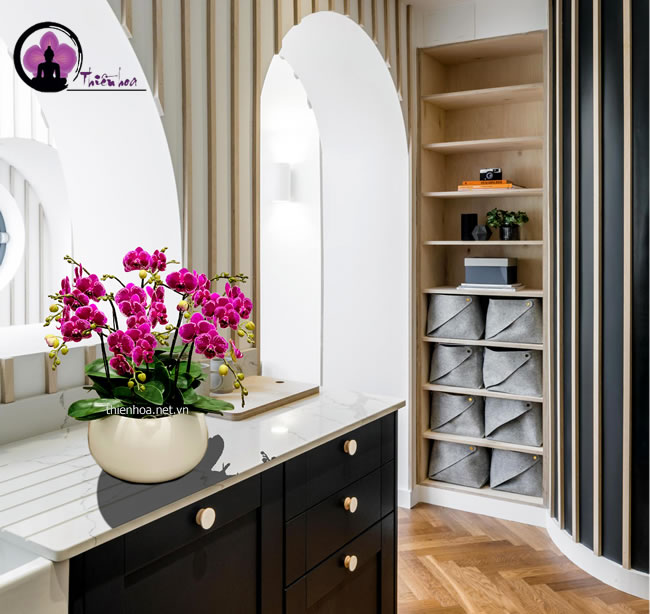 Chậu lan hồ điệp mini dùng làm quà tặng